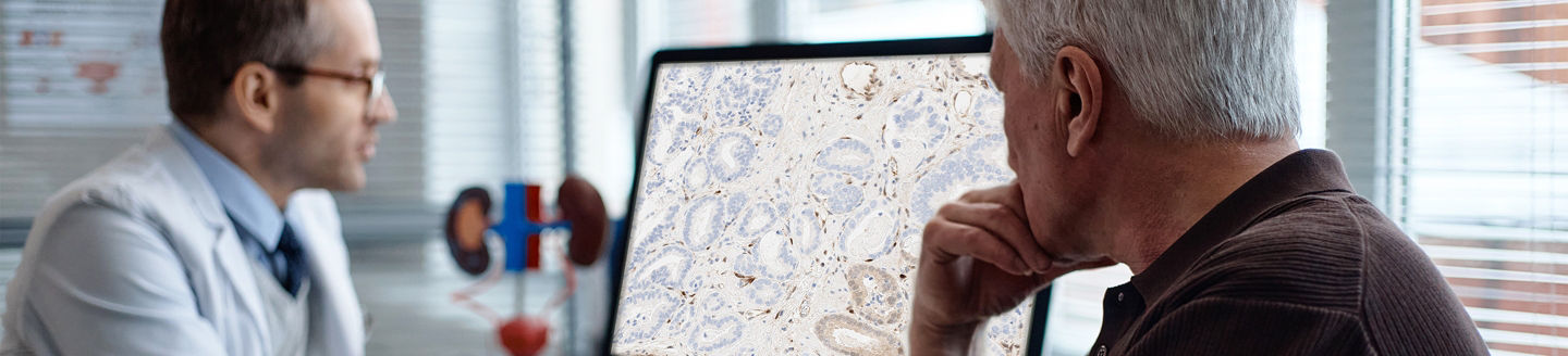 male doctor looking at pathology stain image on computer with older male patient