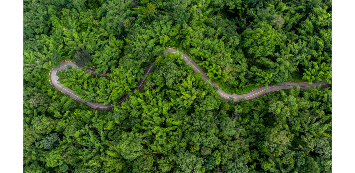 A winding road cuts through a dense green forest, symbolizing sustainable pathways and environmental responsibility.