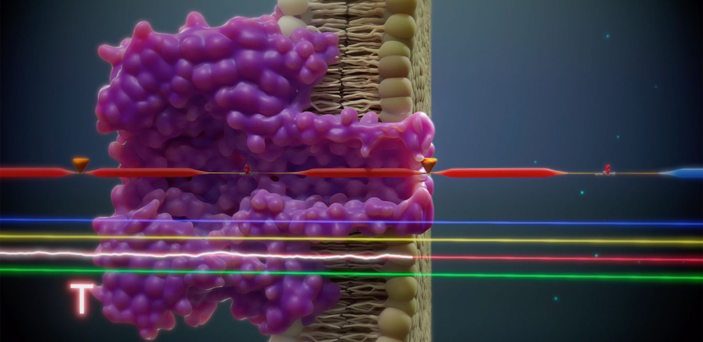 3d graphic xp threading through pore
