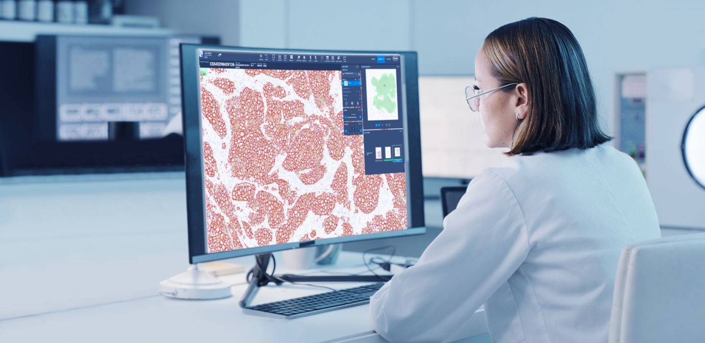 doctor looking at stain on computer